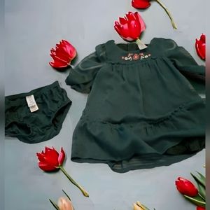 Like NEW! Carter's Baby Girls Green Floral Chiffon Dress Size 9M